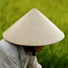 nongdanchanchinh66