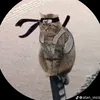 michaschieferstein