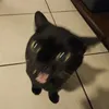 2muchd2
