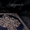 zahraa.faris3