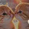 thuys23456789_
