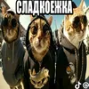 ilyaribeshka