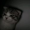 _simply.obssesed24