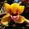 phuchaycuoi2101