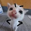 nhinhicute_23