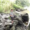 userycaxpa4620