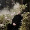 tranvanquynhw