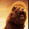 jagwar151