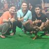 egga_mimot