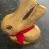 thelindtbunnyqueen