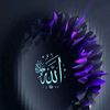 mohammedsarim03