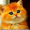 user25207258410014