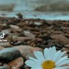 ismail75270