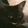 ok__785