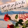 useroumsaad
