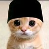 abciakhh