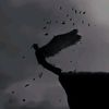 koshi_8_6_24