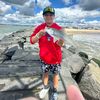 mini_trouba_train