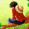monkey.d.luffy1911