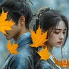 haninh24lc