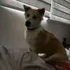 superrsweet