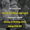 caoanh228