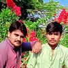 javedsheikhmrs