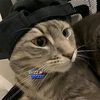 billl_635