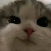 helium_bthhh