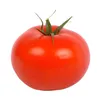 its.notm4_