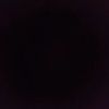 _rynz.co