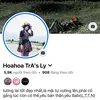hoahoaly877