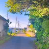 うぐゐす