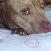 tony_23191