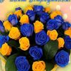 tamiva.71363177981