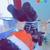dr.mozan.musa