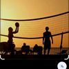 vollyballl141234