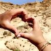 mr_m3113
