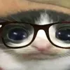 kattbekeek