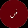 vxnf19
