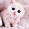 nature_lover_09244