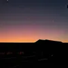 leov_910