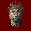 LIONESS || لينس