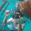 yuniherlyani171