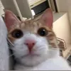 drasa_03