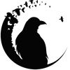 corvidae