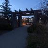 yyc_summer