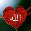 user5428103274036tahmina