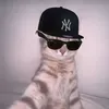 kes_lutfen