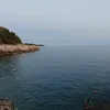 poziomka_09